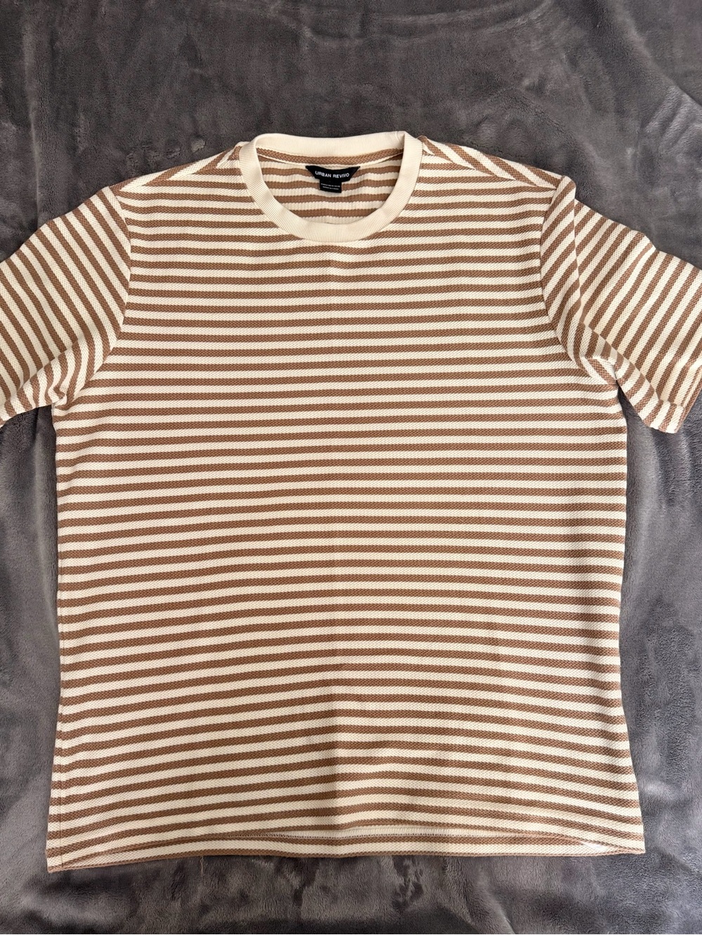 Striped Short-Sleeve Crewneck Shirt in Cream and Brown